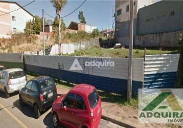 Terreno à venda 383m², oficinas, ponta grossa - pr