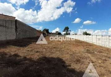 Terreno à venda e locação 1000m², oficinas, ponta grossa - pr