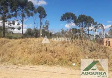 Terreno à venda 361.96m², colônia dona luíza, ponta grossa - pr