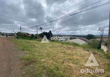 Terreno à venda 351.5m², oficinas, ponta grossa - pr