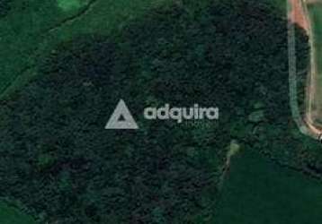 Terreno à venda 76345.22m², colônia dona luíza, ponta grossa - pr