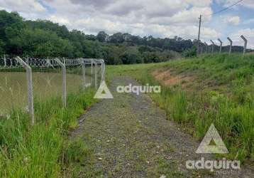 Chácara à venda 7500m², periquitos, ponta grossa - pr