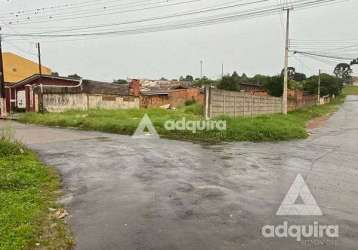 Terreno à venda 350m², neves, ponta grossa - pr