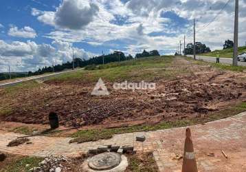 Terreno à venda, jardim carvalho, condomínio jardim alpha, ponta grossa, pr