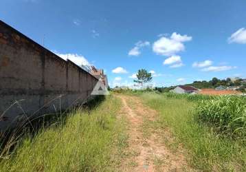 Terreno à venda, estrela, ponta grossa, pr