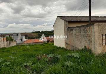 Terreno à venda, neves, ponta grossa, pr