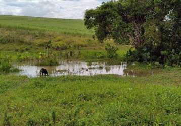 Fazenda à venda, povoado - pedras de fogo