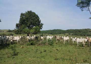 Fazenda para venda em araruama, são vicente