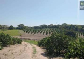 Sítio para venda em araruama, são vicente