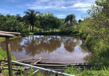 Ótimo sítio com benfeitorias em amparo dois alqueires e meio com poço artesiano e lago