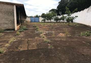 Galpão para locação em ribeirão preto, campos elíseos