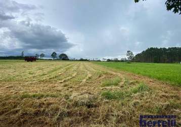 Terreno à venda, 1250 m² por r$ 600.000,00 - loteamento aeródromo vale eldorado - bragança paulista/sp