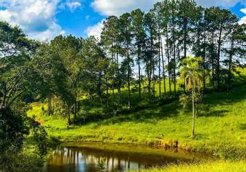 Pronto para construir: terreno em santa isabel