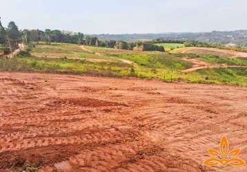 .invista em cotia:terrenos com preços ótimos