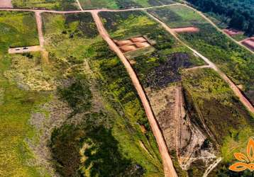 8-cn .viva bem:terrenos em localiazação privilegiada.