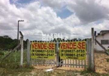 Vendo área com 05 hectares as margens da br 408, km 90 em paudalho/pe