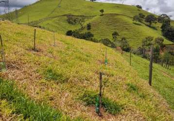 Chácara com 1 dormitório à venda, 80000 m² por r$ 1.050.000 - itajubá/mg