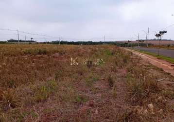 Terreno à venda, centro, novo sobradinho - pr