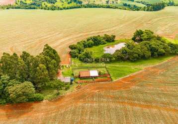 Fazenda, à venda, zona rural, ouro verde do oeste - pr