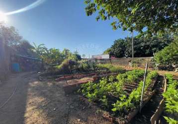 Terreno à venda no bairro presidente medici