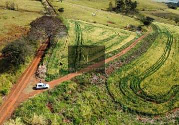 Terreno em tomazina pr