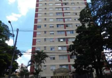 Apartamento com 3 quartos à venda na rua major luciano teixeira, 66, bonfim, campinas, 117 m2 por r$ 430.000