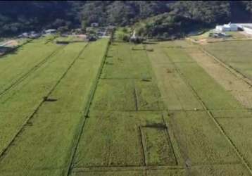 Terreno à venda, 66000 m² por r$ 6.500.000,00 - são roque - itajaí/sc