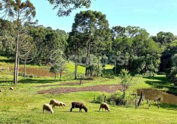 Fazenda à venda no palmeirinha, guarapuava , 125800 m2 por r$ 1.500.000