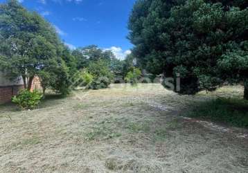 Terreno à venda no bairro dos estados - guarapuava/pr