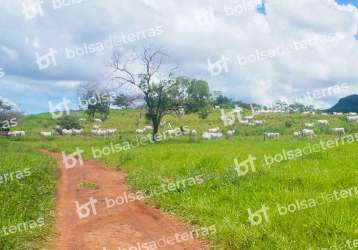 Fazenda à venda na suri uirandé, 1, centro, campinápolis por r$ 180.514.000