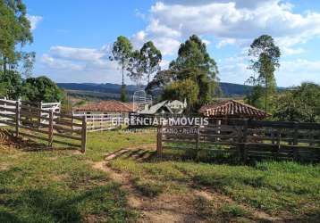 Fazendinha excelente 34 hectares toda formada