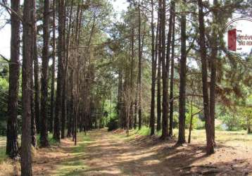 Sítio com lindo paisagismo e boa topografia