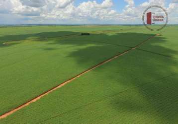 Fazenda  com 400 alq presidente prudente e região.