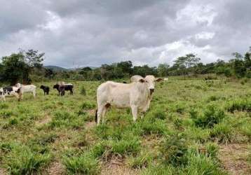 Fazenda 49 hectares planaltina de goiás próximo à são gabriel !!! 900.000 !!!