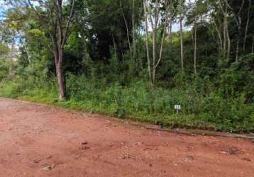 Área com 1.500 m² (lote 53) no condomínio sítio das hortênsias - são roque - sp