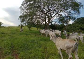 Fazenda de 50 alqueires a 2 km de são sebastião de paraiso