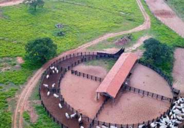 Fazenda à venda, 47720000 m² por r$ 160.000.000,00 - centro - ribas do rio pardo/ms