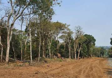 Terreno à venda na rua carlos preysler, lençol, são bento do sul por r$ 450.000