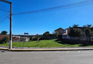 Terreno à venda na rua pedro simóes de oliveira, centro, rio negrinho por r$ 1.380.000