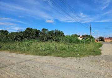 Terreno à venda na rua benemérito martim schafascheck, vila nova, mafra por r$ 215.000