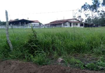 Fazenda 41 hectares, excelente estrutura c/área para loteamento em timbaúba