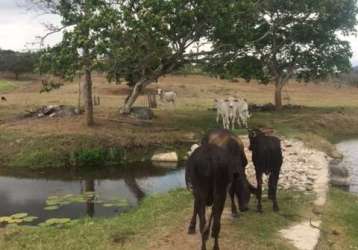 Ótimo para empreendedorismo, fazenda 16 hec, rio e 2 açudes perene, agrestina