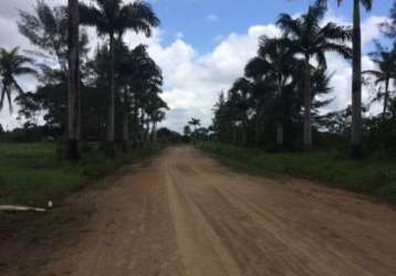 Ótima fazenda-granja-sítio 52 hectares para empreendedorismo em monjope, igarassu