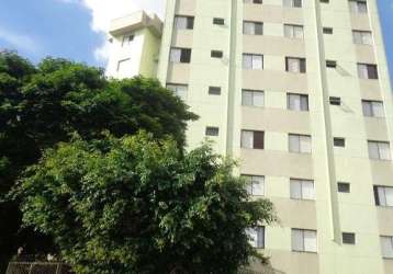 Apartamento à venda, 2 quartos, 2 vagas, vila cavaton - são paulo/sp