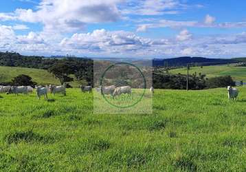 Excelente fazenda na pecuária com 53 alqueires em itapetininga - sp