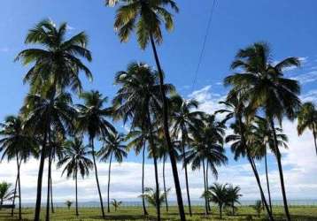 Venda de belíssima casa casa em barra de sirinhaem - pe