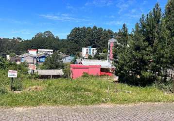 Terreno à venda na estrada municipal josé dani, desvio rizzo, caxias do sul, 360 m2 por r$ 185.000