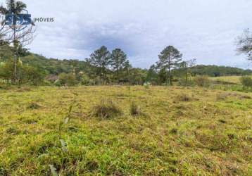 Terreno à venda, 63370 m² por r$ 3.500.000,00 - fortaleza alta - blumenau/sc