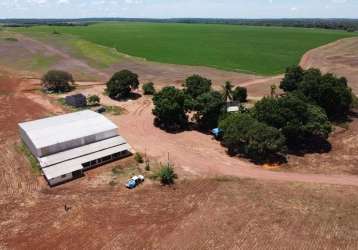 Fazenda em divinópolis do tocantins