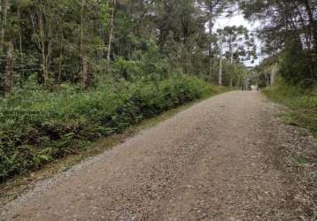 Chácara para venda em campina grande do sul, timbu velho